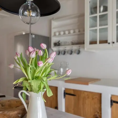 Domacija Pri Momi Daire