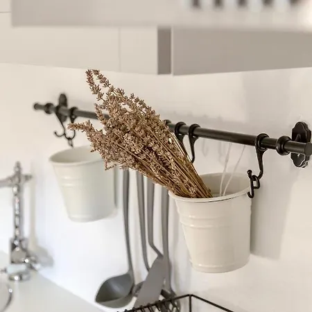 Daire Domacija Pri Momi *