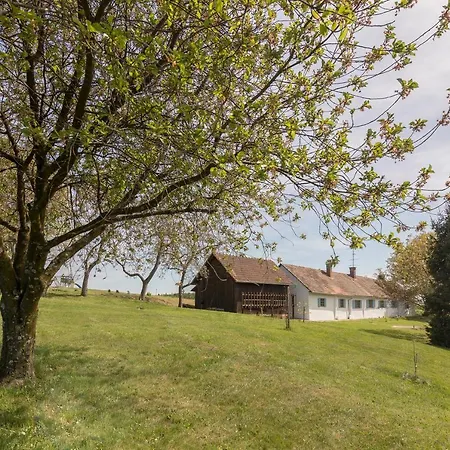 Domacija Pri Momi * Krizevci