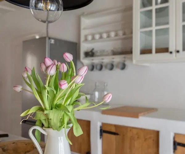 Domacija Pri Momi Apartamento